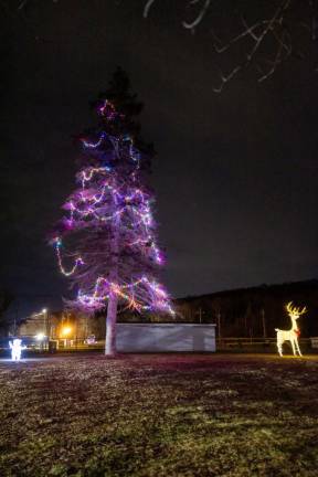 Smith Clove Park decorated for the holidays in Monroe. Photo by Sammie Finch