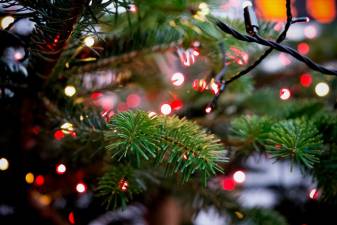 Smith’s Clove Park tree lighting this Friday