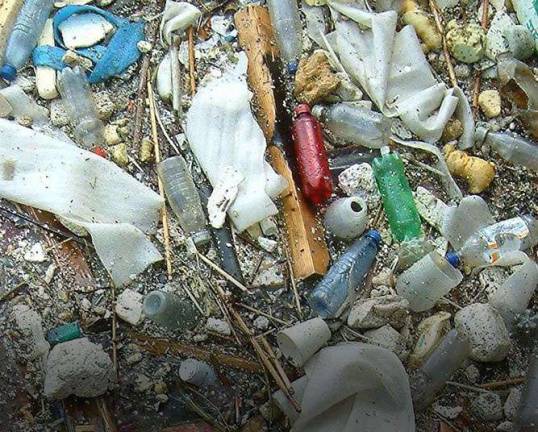 Plastics and microplastics debris collected along the shoreline of the Fishkill Creek.