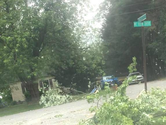 Trees down in the Wickham Village area of Warwick.