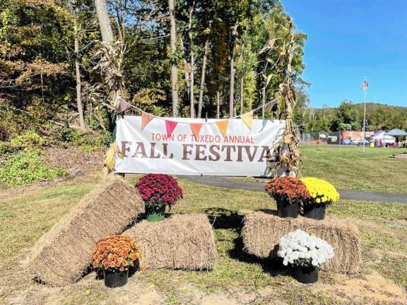 The festival was filled with fun family-friendly activities at Powerhouse Park.