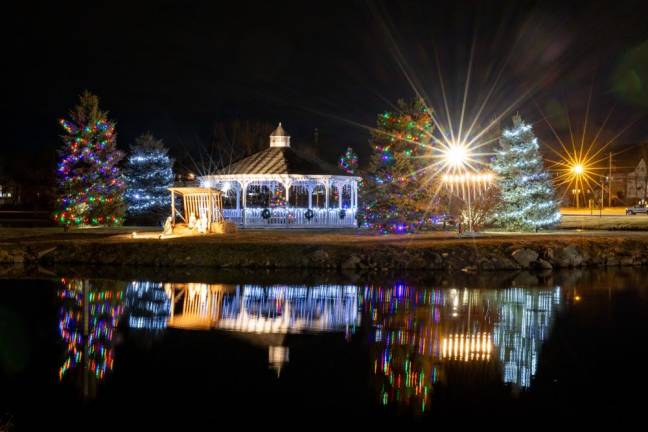 Holiday lights at the Mill Ponds in Monroe. Photo by Sammie Finch