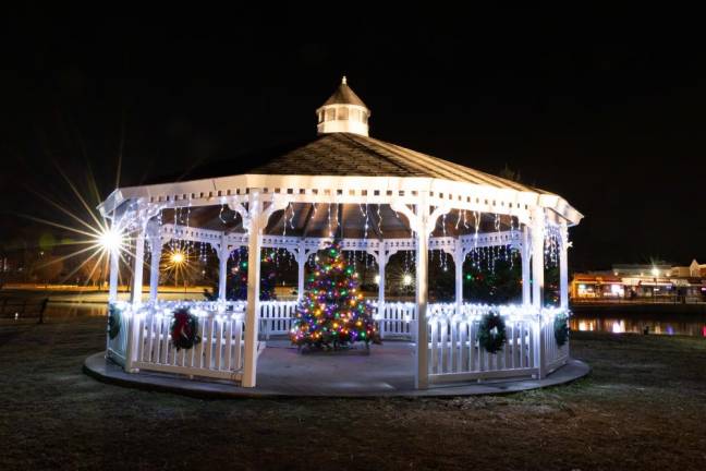 Holiday lights at the Mill Ponds in Monroe. Photo by Sammie Finch