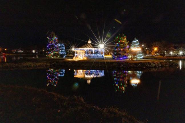 Holiday lights at the Mill Ponds in Monroe. Photo by Sammie Finch