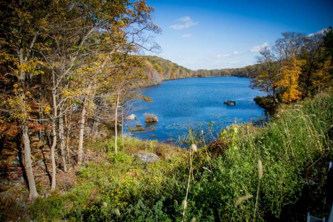 Harriman State Park. Photo by Sammie Finch.