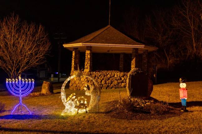 Woodbury Light Display. Photo by Sammie Finch