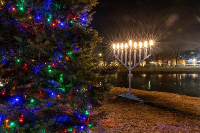 Holiday lights at the Mill Ponds in Monroe. Photo by Sammie Finch