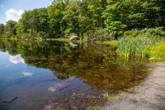 Harriman State Park , New York