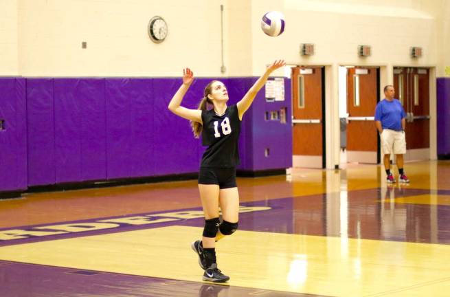Shannon Hiner (#12) had nine digs in the game.