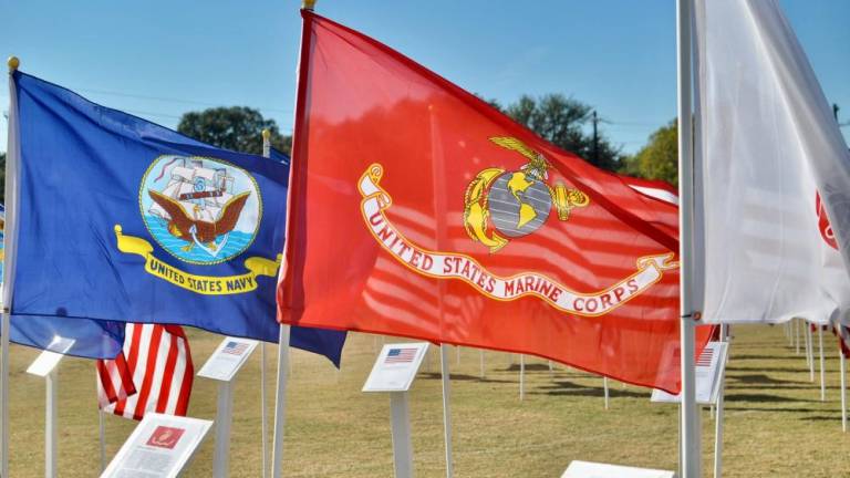 American Legion to honor Veterans Day